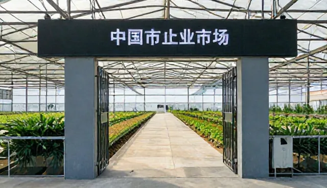 商机对接效率不足,如何选择合适发布入口